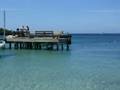 Roatan West End beach 21.02.2008