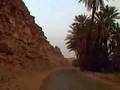 La palmeraie de Taghit à travers le parebrise.