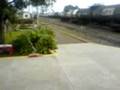 videos de COMEDOR DE FORMIGAS NA ESTACAO FERROVIARIA ALL - GUARAPUAV