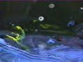 VIDEOPINTURAS_ Esferas Nocturnas__ VIDEOPINTURAS_ Esferas Nocturnas__
