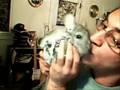 IN MEMORY OF LUCKY THE CHINCHILLA