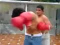 krlos vs Leal (n kza d rolaz)