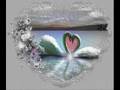Amor verdadero G.J.M.L