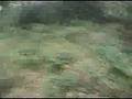 Anne Laplantine - Pour