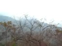 Ooty Ooty