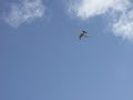Free flight rubber powered 7 (C-172)