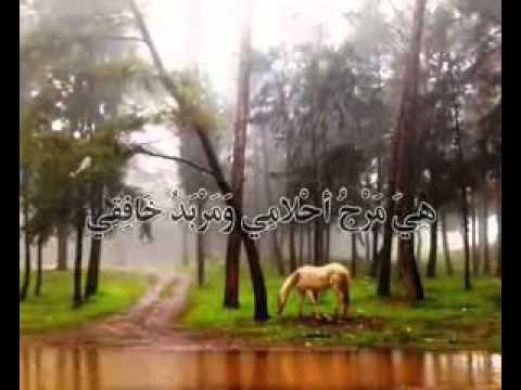انشودة هي ليبيا للمنشد الليبي محمود المالكي