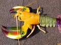 New Hybrid Animals? What do you think? Are they real?