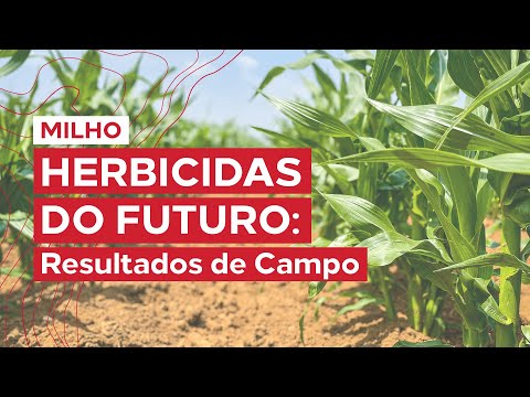 Série Herbicidas do Futuro - KYOJIN em MILHO - Leandro Marques