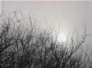 Circle Fog: A Photo Essay by G.E.Wolfe Circle Fog: A Photo Essay by G.E.Wolfe