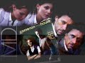 house   cameron/house md