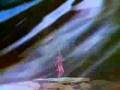 videos de Wai Lana Yoga