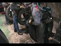 ROTOFLEX PULIDORA INDUSTRIAL REENCAUCHE LLANTAS