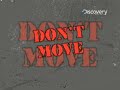 How to Survive- Shot, Stabbed or Wounded How to Survive- Shot, Stabbed or Wounded