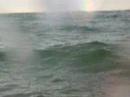 Go Sea Kayak June 26th Dolphins at Wategos