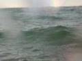 Go Sea Kayak June 26th Dolphins at Wategos