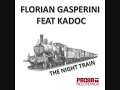 florian gasperini feat kadoc *night train(