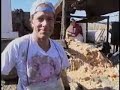 a portion of the casino food recycler episode.