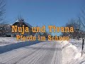 Pferde im Schnee
