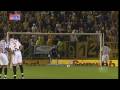 Danijel Pranjic Goals 2009