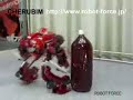 Real Transformer Robot CHERUBIM