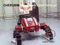 Real Transformer Robot CHERUBIM