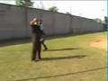 PROGRAMA PET E CIA - canil da guarda municipal de Jundiaí