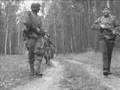 In chase of von Gruber - Big Red One Poland - Newsreel #1