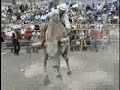 Jaripeo en Jaripeo Michoacán 14_mayo_2006