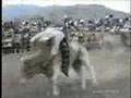 Jaripeo en Jaripeo Michoacán 14_mayo_2006