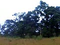 Tegal Panjang