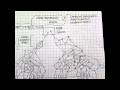 PENSAMIENTO SISTEMICO-PENSODINAMICA Y EL JUEGO SERIO EN COMPUTADOR.wmv