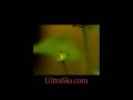 One more 7000 FPS lady bug. Don't watch this if you saw the other one