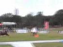 Skyhoundz Worlds 07, Tony Hoard and Zaniee J