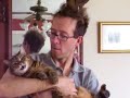 うたう猫動画