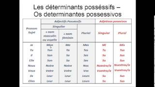 Os determinantes possessivos em Francês