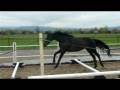 videos de P1010965.MOV