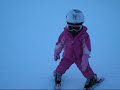 The Ski Hamster