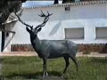 Finca Los Quintos de Mora (Montes de Toledo) [Los Y�benes]