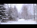 paysage d'hiver courte vidéo