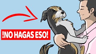 15 Cosas Que Tu Perro Odia De Ti