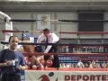 Tite De Jm Campeon De Muay Thay De Andalucia