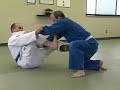 BJJ Blue Belt: Acarregui