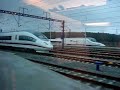 Velaro en camp de tarragona