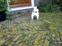 spelen in de regen 6 weken