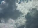 J�gertreffen Haselbach, Hellcat