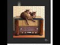 Twiddling With The Knobs On The Radio - Dorrie Dene