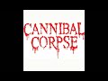 Cannibal Corpse A Cauldron of Hate 8-bit