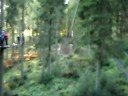 The Zip Line Experience