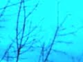Jazznoize - illbient (2007)